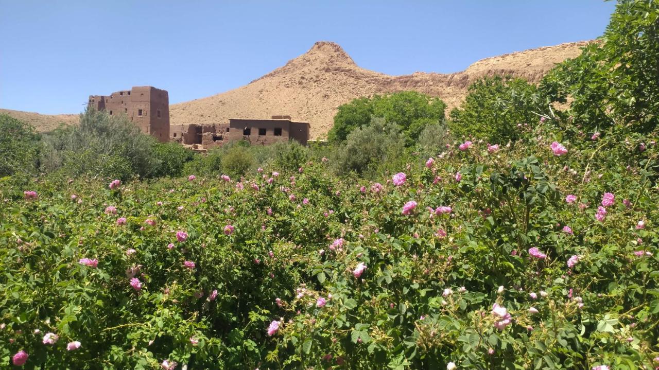 Bed and Breakfast Les Jardins Du M'Goun Kelaat-M'Gouna Exterior foto